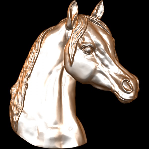 Arabian Horse Head